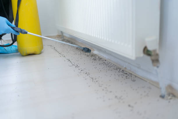 Best Pest Prevention Services  in Mount Pleasant, TN